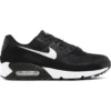 Women's Nike Air Max 90 Shoes